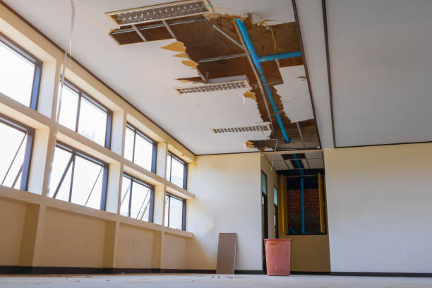 Best Flood damage cleanup  in Montclair, VA