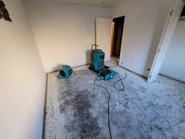  Montclair, VA Water damage restoration Pros