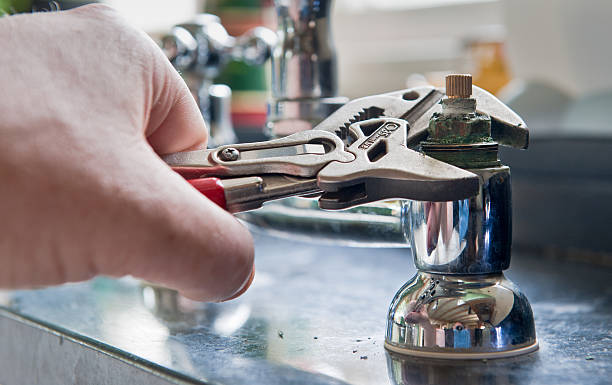 Best Professional water damage repair  in Montclair, VA