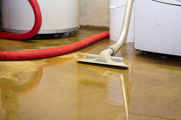 Best Flooded house restoration  in Montclair, VA