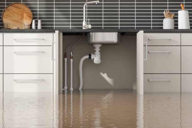 Best Basement water damage restoration  in Montclair, VA