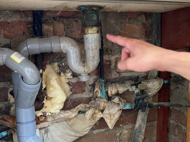 Best Water damage restoration near me  in Montclair, VA